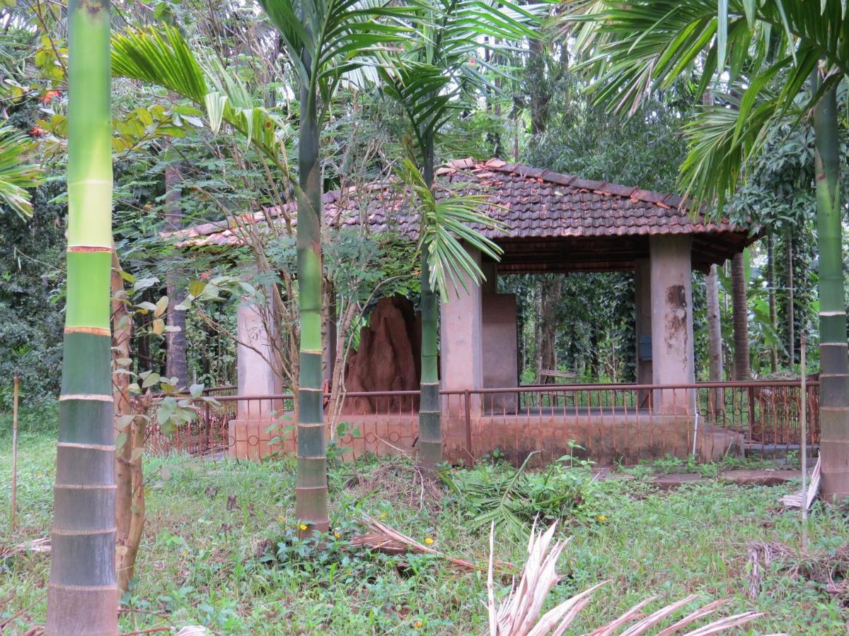 Sugamya Farm Guesthouse Sagar  Exterior photo
