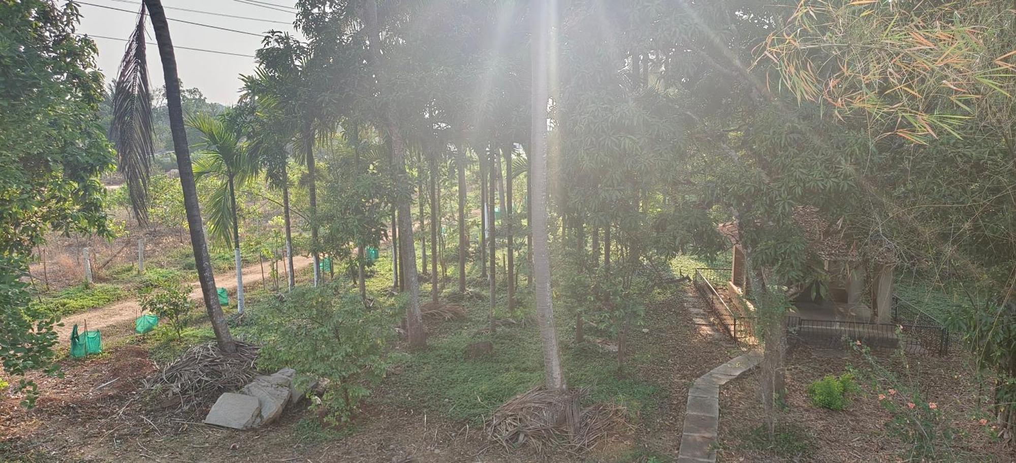 Sugamya Farm Guesthouse Sagar  Room photo